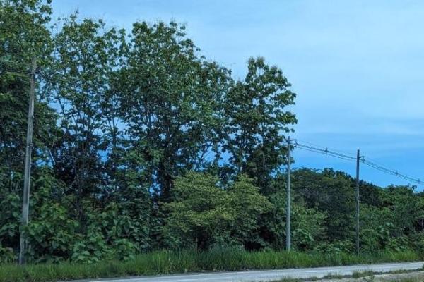 Venta de finca en la ermita