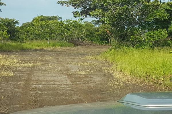 Terreno de 43 hectareas en el espino, anton, cocle