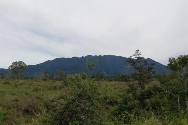 Amplios 5 hectáreas en venta en alto boquete