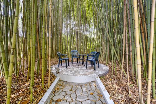 Downtown boquete retreat on 800 m² lot