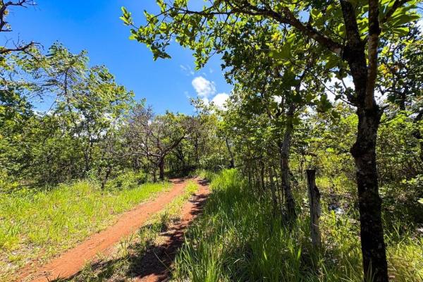 Amplio terreno de 59.086 m² en síndigo, caldera