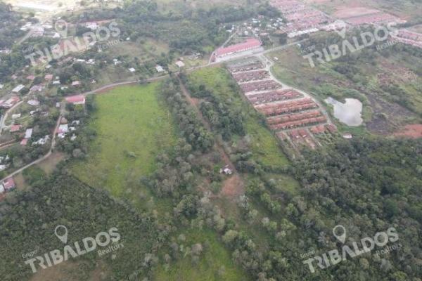 Sale of land for housing development in arraijan