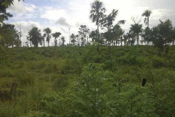 Farm in the raya de calobre, veraguas