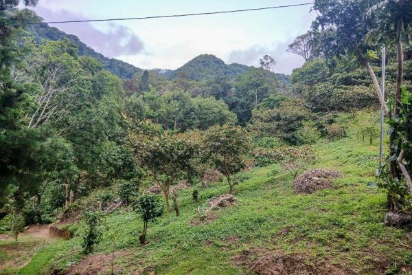 Cabaña con vistas al volcán barú en venta en jaramillo