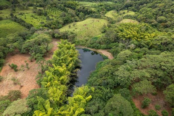 Spring-fed lake & 10 hectares for sale in rovira d
