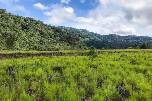 Serene flat land for sale with mountain views