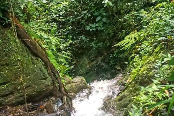11 hectares land for sale in caldera boquete
