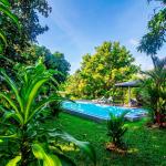 5 acre hidden gem in boquete