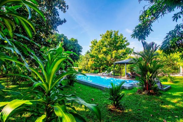 5 acre hidden gem in boquete