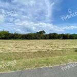 Venta de terreno en playa blanca, rio hato
