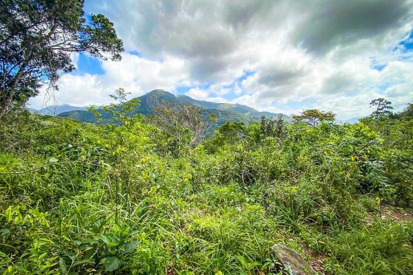 18.4 hectare land close to el cope, cocle