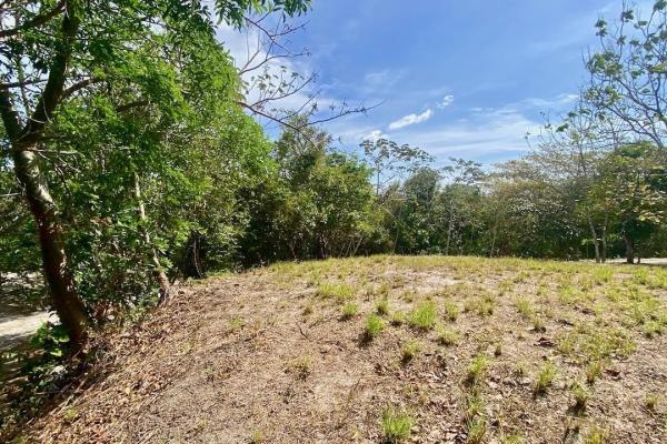 Finca de 4.3 hectareas – proyecto ideal comunidad