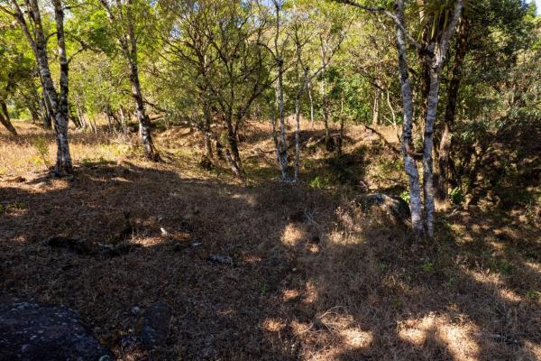 Luxury view-building lot in alto jaramillo boquete