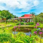 Farm with mountain views for sale in bugaba panama