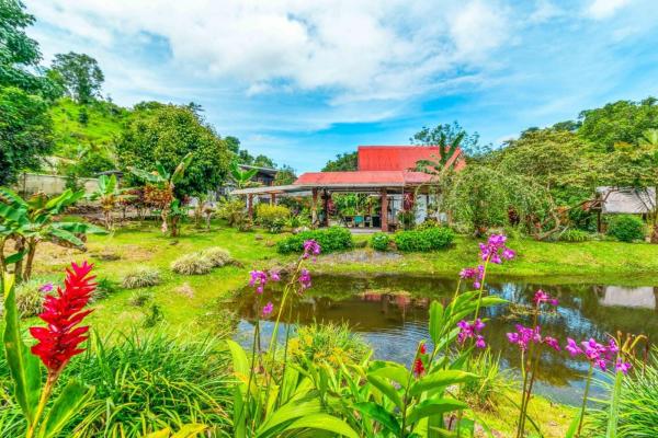 Farm with mountain views for sale in bugaba panama
