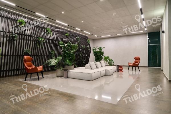 Apartamento en alquiler en hato pintado | edificio nuevo y línea blanca