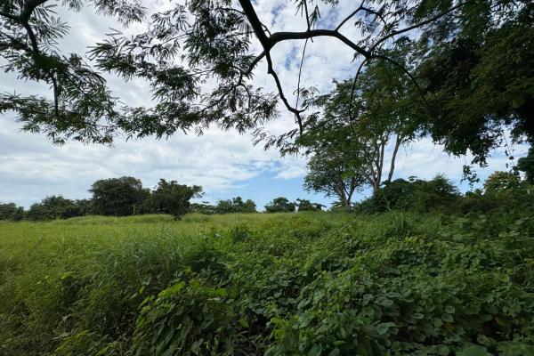 +9 hectares of flat beachfront land for sale