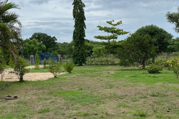 Farm with residence in ocú
