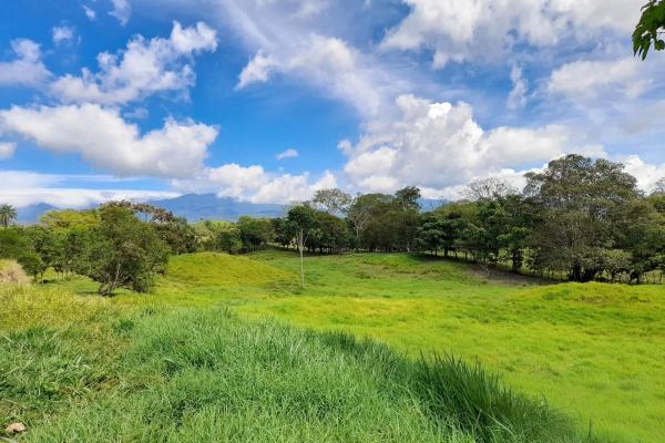 Expansive 146.652 ha property with water sources