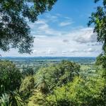 Se vende un extenso terreno en las lomas, david