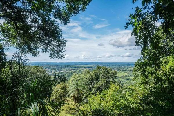Se vende un extenso terreno en las lomas, david