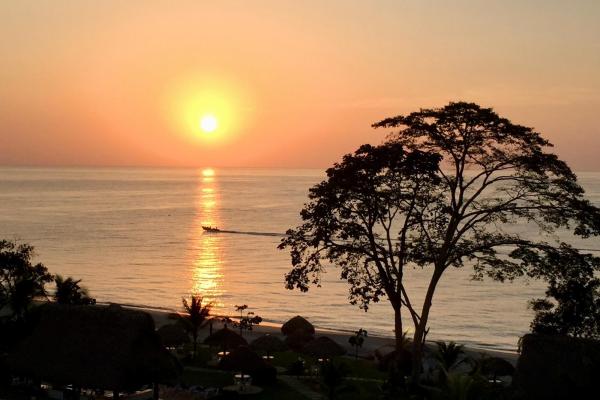 Pure beachfront luxury in bijao