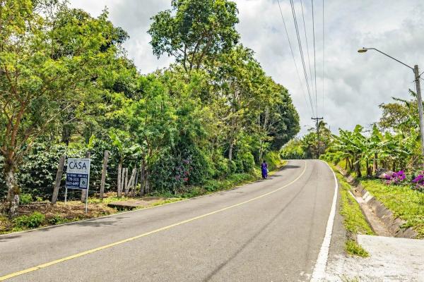Flat coffee land with mountain views in palmira
