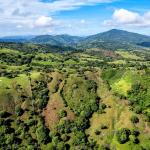 29 ha farm in palmira las tablas los santos panama