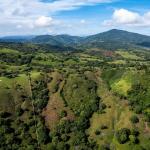 Finca de 29 ha en palmira las tablas los santos panamá