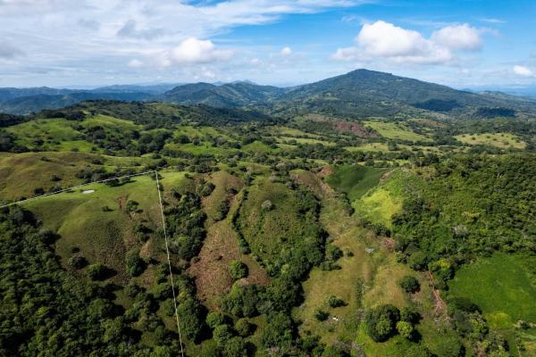 Finca de 29 ha en palmira las tablas los santos panamá