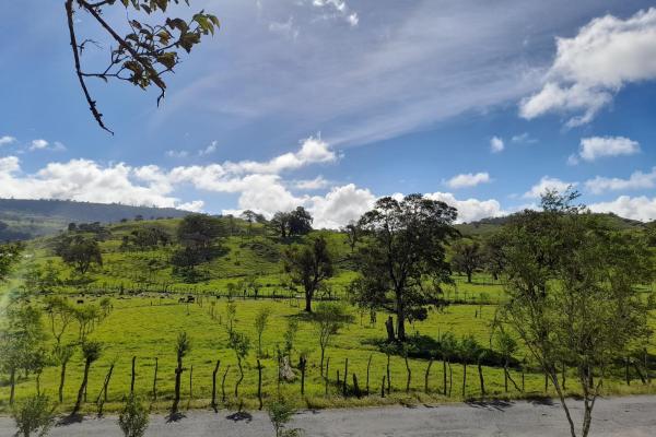 Lote privilegiado en venta en volcán