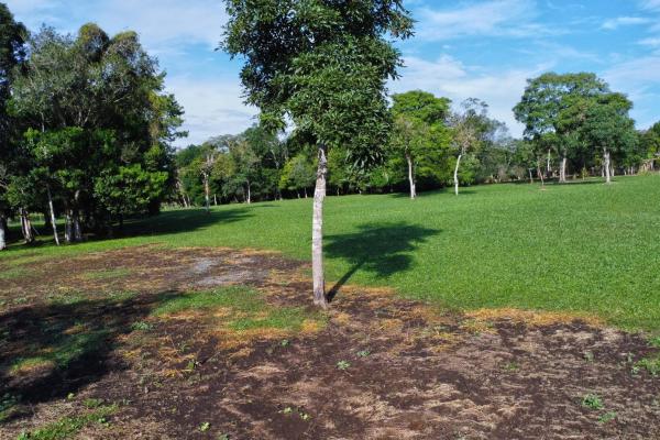 Lote de 1.86 hectáreas en potrerillos arriba dolega