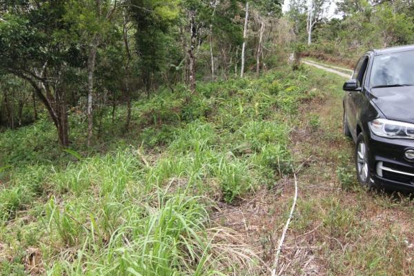 Terreno en jaramillo abajo boquete panamá