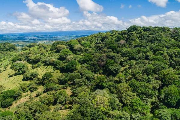 Expansive land for sale in las lomas, david