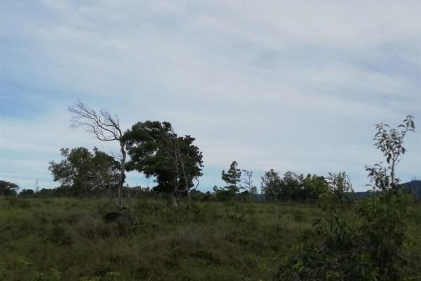 Amplios 5 hectáreas en venta en alto boquete