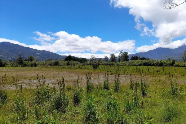 Flat road-front lot for sale in volcan