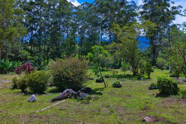 Experience the peace of volcán | land with a natural creek