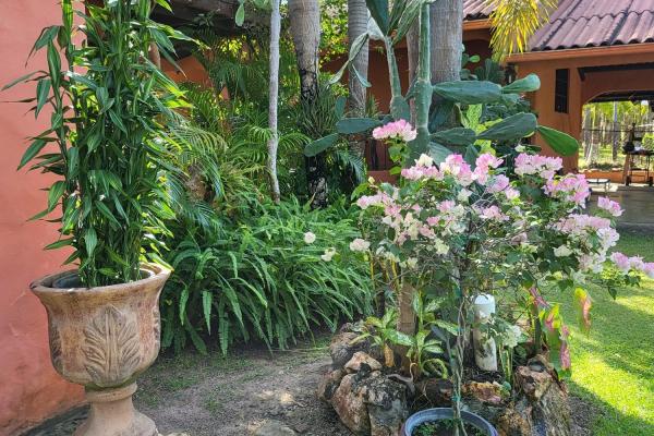 Se vende casa con plantación en nueva gorgona, chame