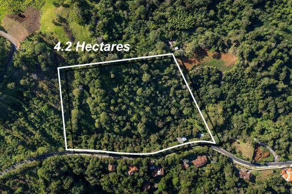 Finca de café y aguacate de boquete con vistas al volcán barú
