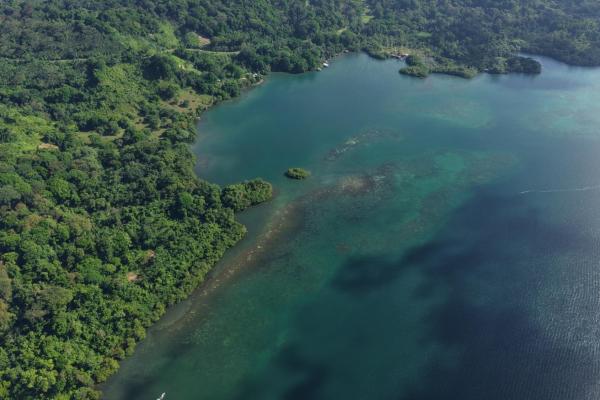 10 hectares of titled waterfront in tierra oscura