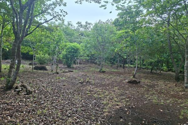 Excelente terreno con mejoras vía el valle