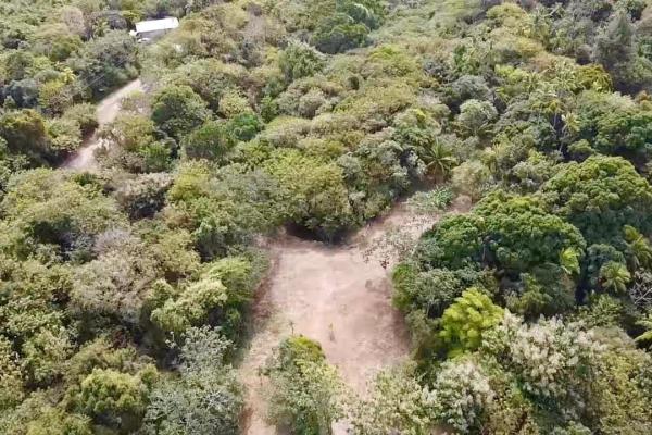 Finca de 4.3 hectareas – proyecto ideal comunidad
