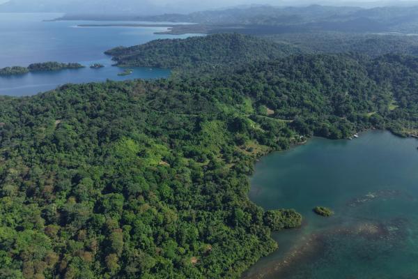 10 hectares of titled waterfront in tierra oscura