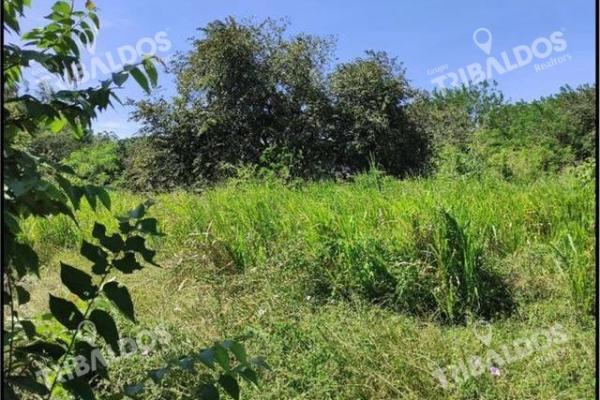 Land in front of panamericana in decameron