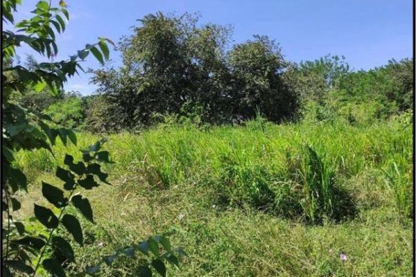 Land in front of panamericana in decameron