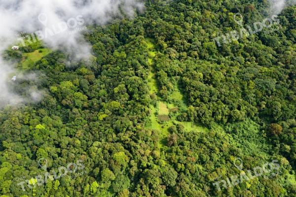 Ecotourism land for sale from el valle de antón