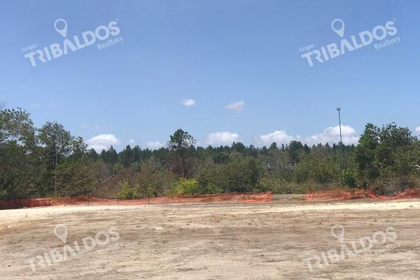 Venta de terreno frente a la panamericana, santa clara