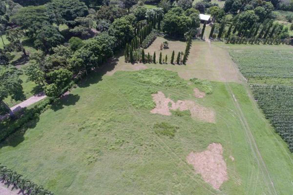Venta de terreno en rio hato