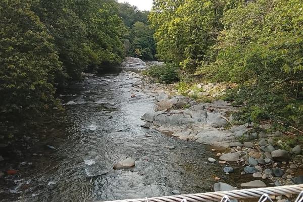 Sale of land 116 acres in san miguel, pacora river