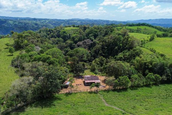 Amplia propiedad de 146.652 ha con fuentes de agua